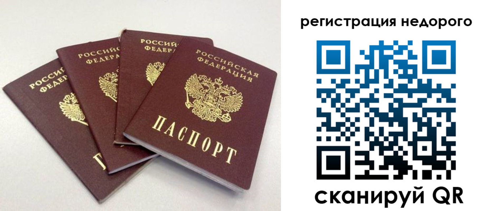 регистрация для школы в Сланцах